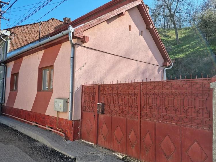 Casa de vanzare - 1