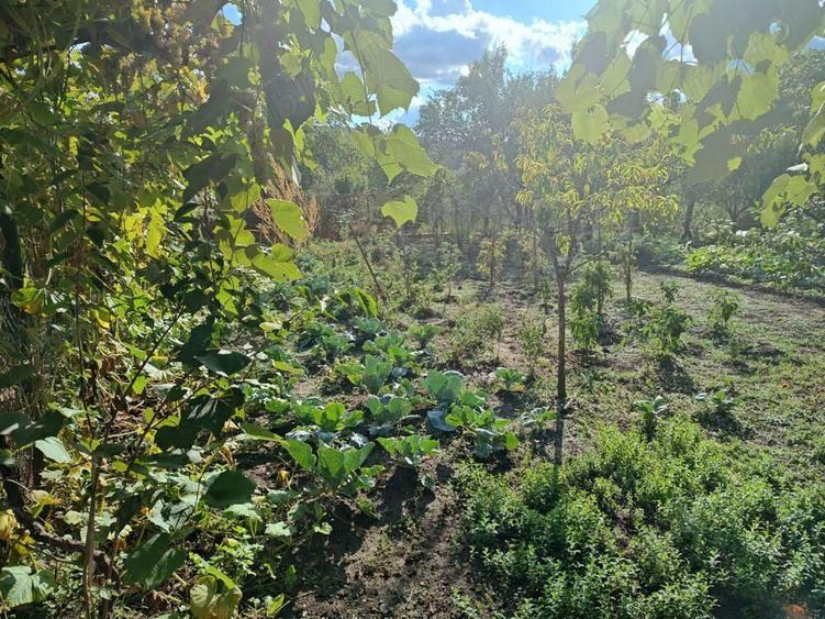 Casa Zona Calimanesti Valcea - 2