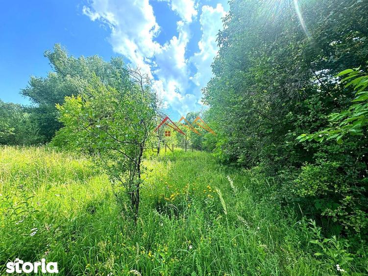 Teren 2037 mp, 17 ml deschidere, 28 euro/m2, vedere panoramica - 5