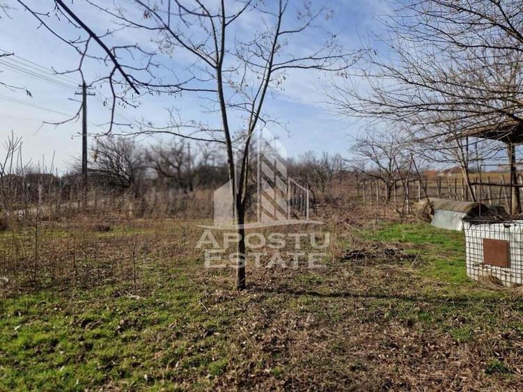 Casa individuala cu 3 camere ,teren 4222 mp in exclusivitate Dorobanti - 1