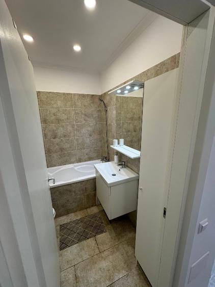 Garsonieră de închiriat complex Avangarde Tineretului 17 - 3