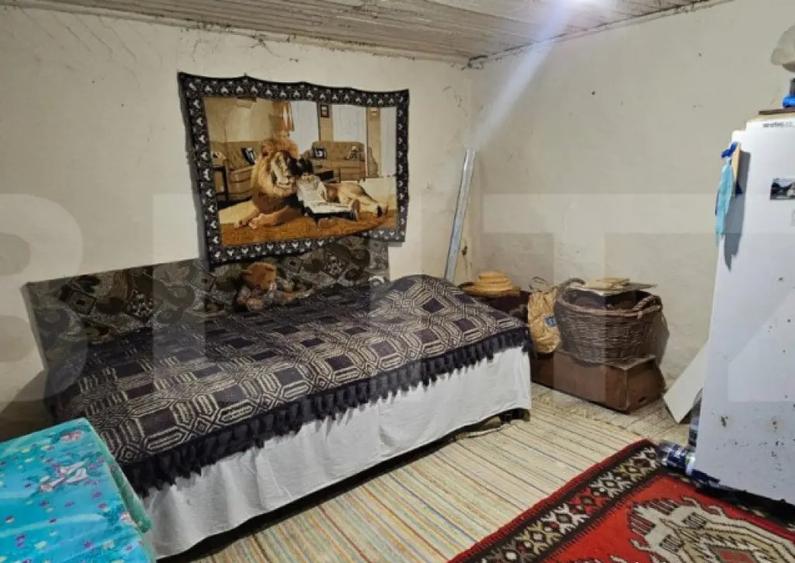 Casa rustica (62mp) in sat Magura cu 1000mp teren si anexe! - 9