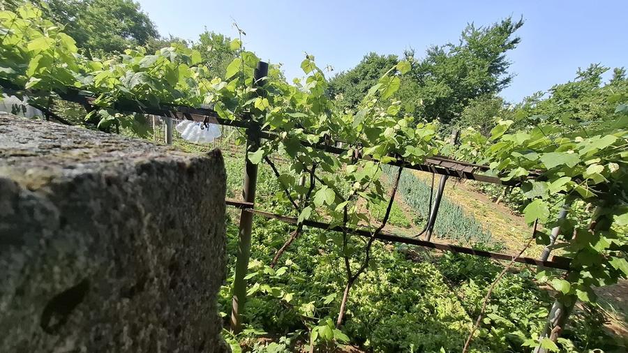 Kamsas - teren 2303 mp - deschidere 41.2 ml - 1