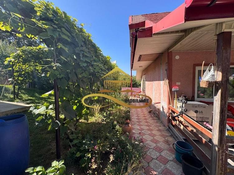 Casa si terasa de vanzare in Magura Bacau - 22