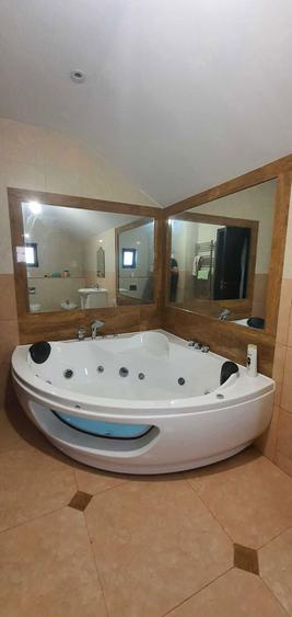 Inchiriere vila Ezareni - 5