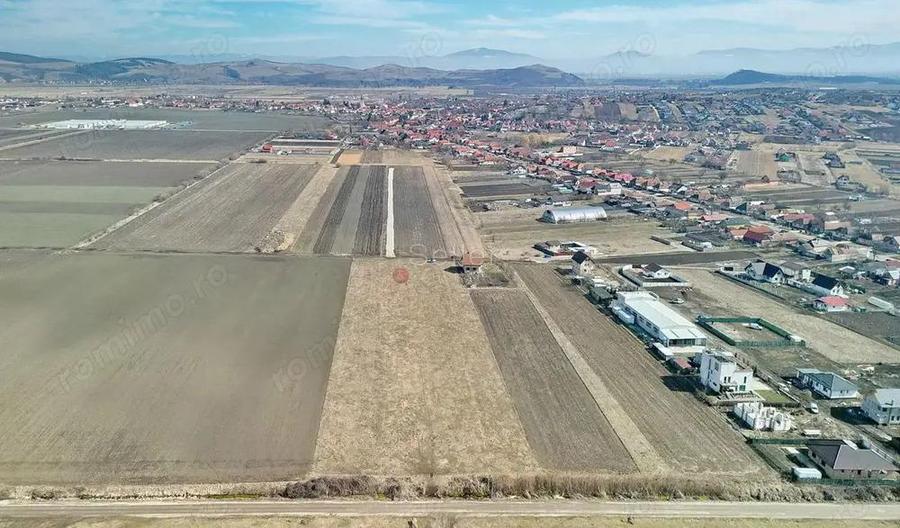 Teren Extravilan, P.U.Z. inceput - 11