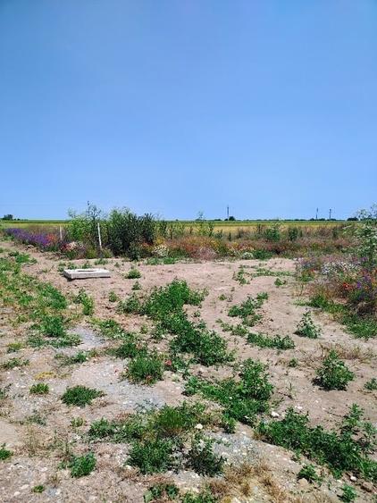 Intravilan 420m2 pe partea dreaptă - 2