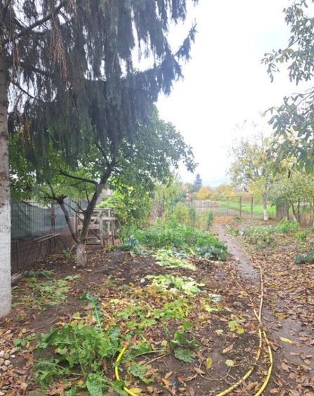 2 case lipite, ideale pentru 2 familii Harman, la doar - 22