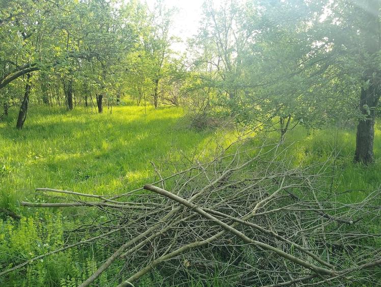 Teren de 3317 mp, în Simeria Veche
