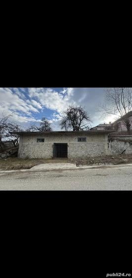 Teren de 24000 mp, în Nucșoara