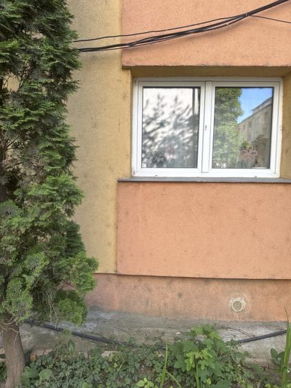 Apartament 3 camere George enescu - 3