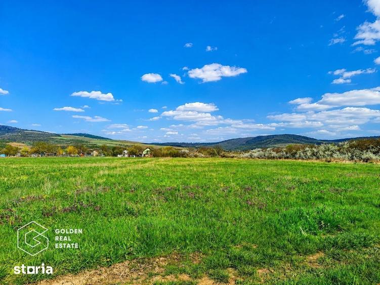 Teren de 2504700 mp, în Șiștarovăț