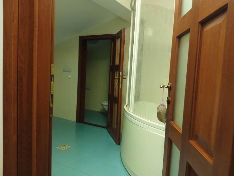 Inchiriere Vila individuala Berceni-Giurgiului - 26