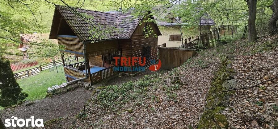 Casa de vacan?a la padure | Teren 891 mp | Valea Ighielului - 17