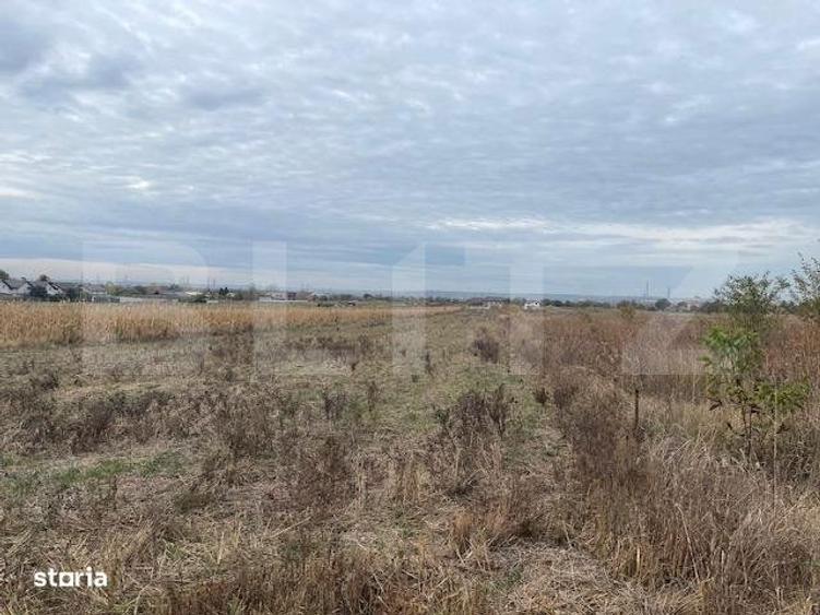 Teren extravilan de 2539 mp in Dudovicesti - 1