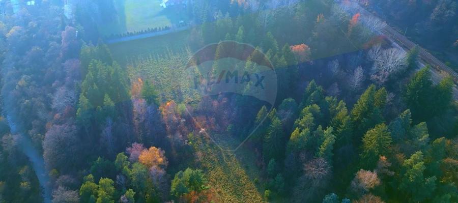 Teren constructii 10,000mp Timisul de Jos , PARCELABIL min 250 mp - 4