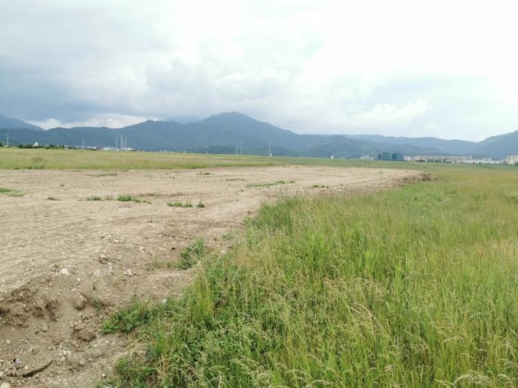 Teren pentru hale si depozite Timisul sec- Uzina 2 front la ocolitoare - 5