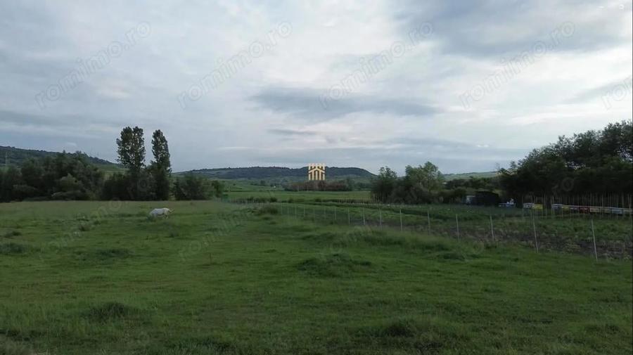 Teren 3953 mp Falticeni Tarna Mare De Vanzare 0727817187 - 4