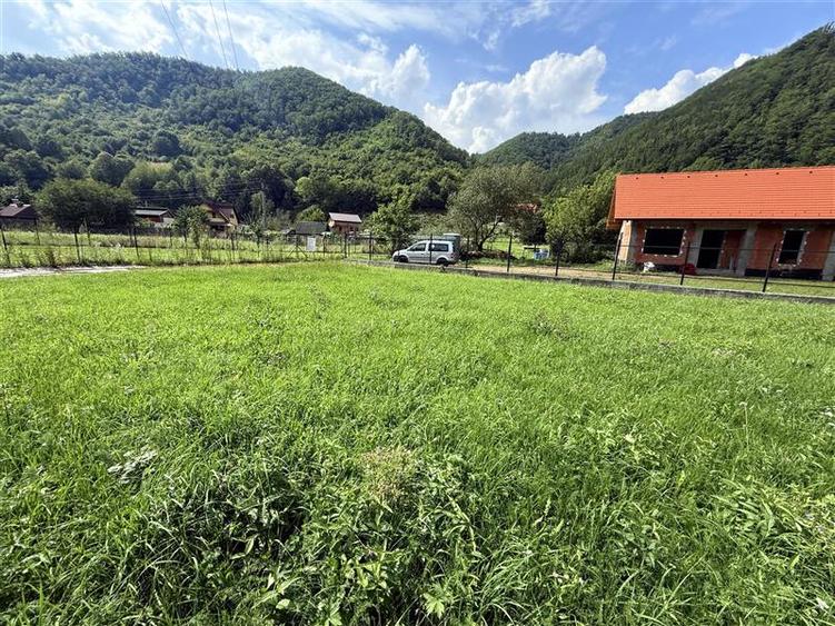 Comisan0%Teren intravilan Somesu Rece Lunca - 1