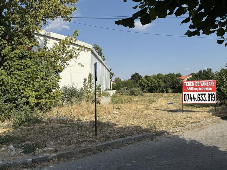 Teren intravilan de vanzare 4805 mp - 8