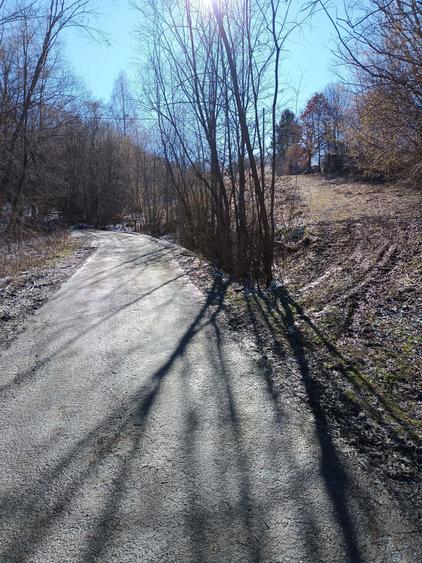 Teren de vanzare - 1