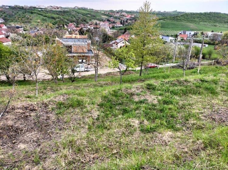 RECO Teren intravilan in Oradea zona Dealuri 850mp cu utilitati - 5