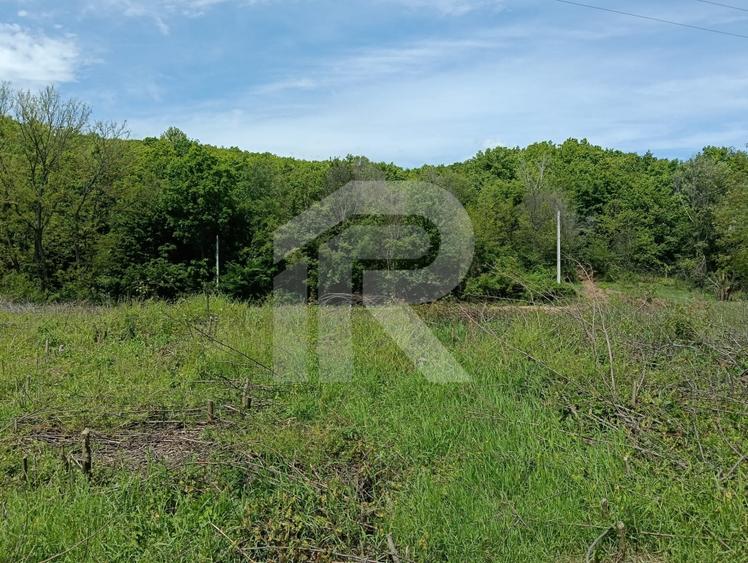 intravilan Tiparesti, relaxare aproape de padure - 6