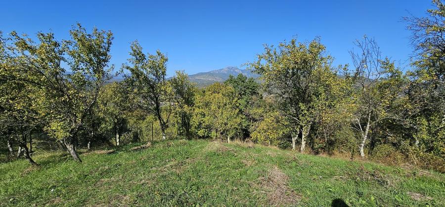 Teren de vanzare In Berislavesti - Calimanesti 4000mp - 5