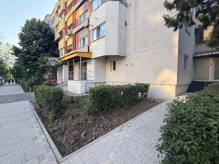 Spatiu comercial de inchiriat - 3