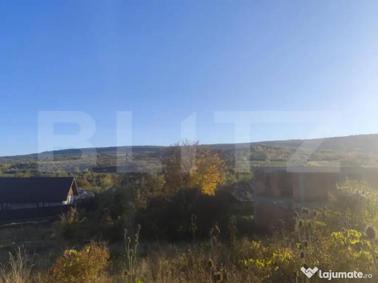 Teren intravilan 500 mp, la asfalt, in Goruni-Tomesti - 1