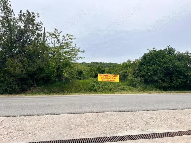 Teren intravilan extravilan in Draga?ani , str Regele Ferdinand - 5