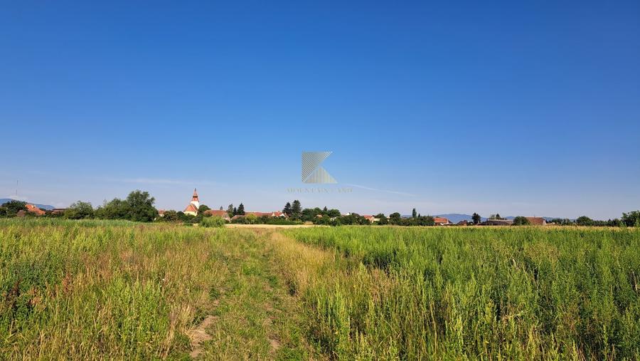 Posibilitate RATE | Teren Bod | curti constructii | utilitati | PUZ, - 14