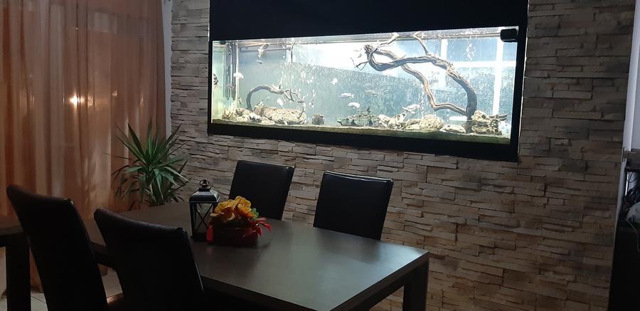 Pensiune Si restaurant Techirghiol - 5