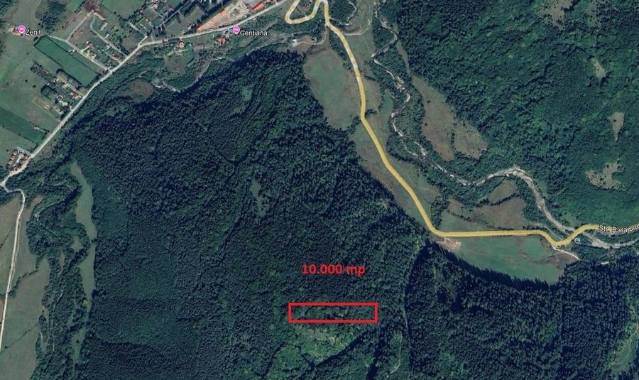 Teren cu padure in Bradet intre DN 1 A si raul Doftana - 1