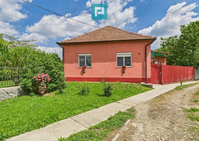 Casa cu 3 camere ?i teren generos langa frontiera - 15