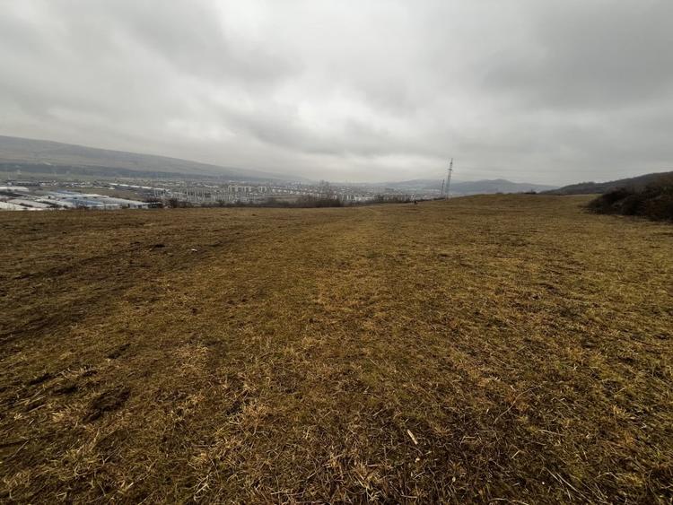 Teren extravilan, 5600mp, zona Vidului - 1