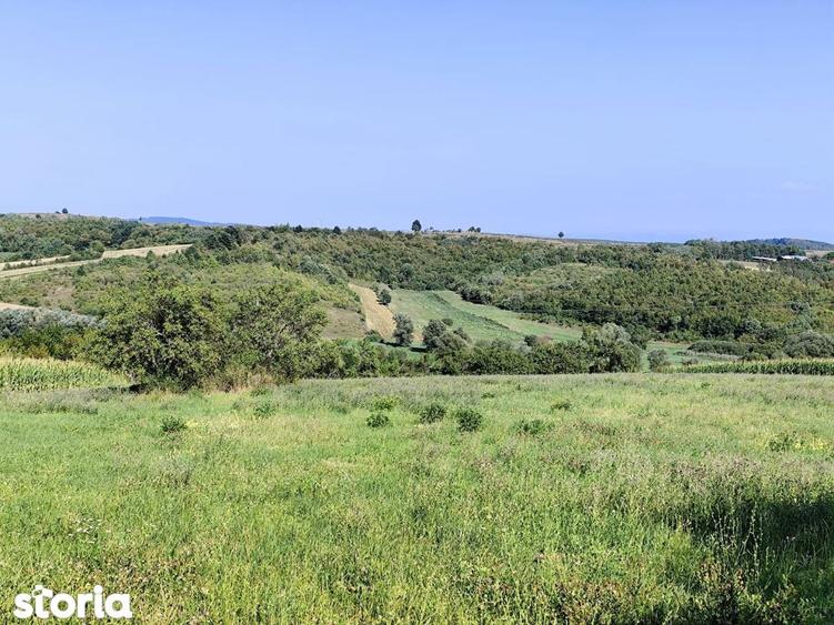 Casa la tara, Calea Mare, Bihor, teren mare, 2 intrari auto vanzare - 5