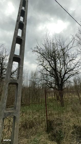 Casa de vanzare in Stupini, comuna Sanmihaiu de Campie teren 35 ari - 5