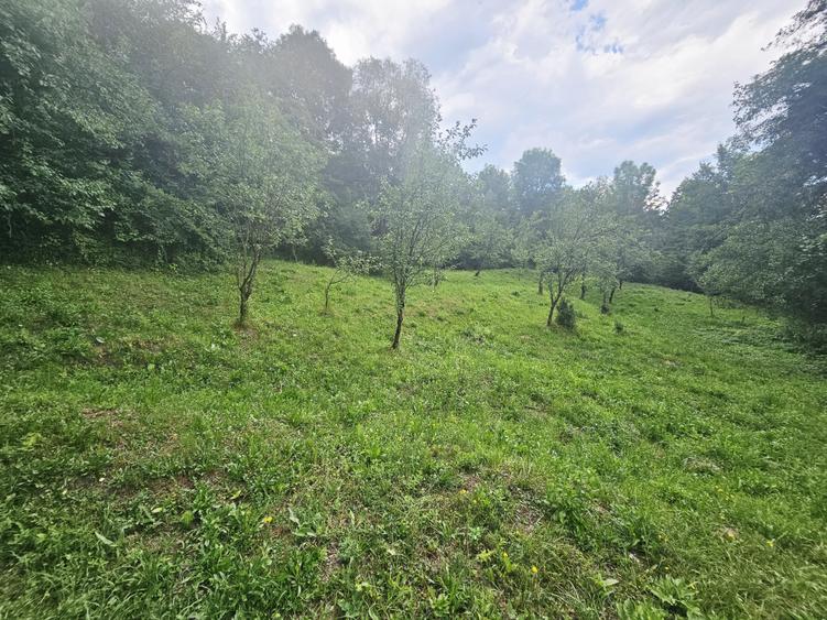 Teren intravilan de vânzare – 2.190 mp – Podu Vadului, Breaza - 5