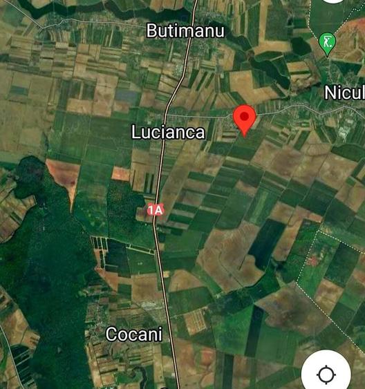 Vanzare 2500 mp, sau 5000 mp, sau 7500 mp teren in Butimanu apropierea Bucuresti pret negociabil - 4