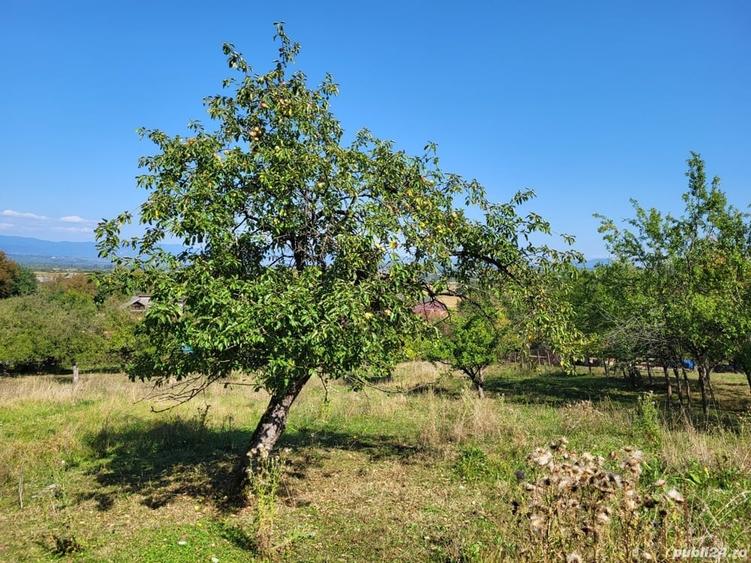 Teren de 4100 mp, în Remetea Chioarului
