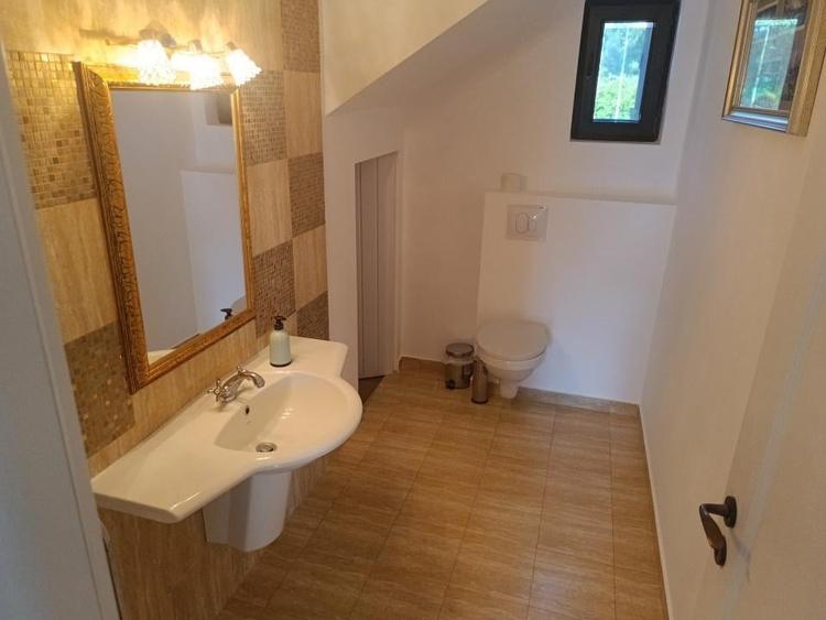 Vila 4 camere in Snagov, suprafata utila 240 mp, suprafata teren 1100 mp. - 20