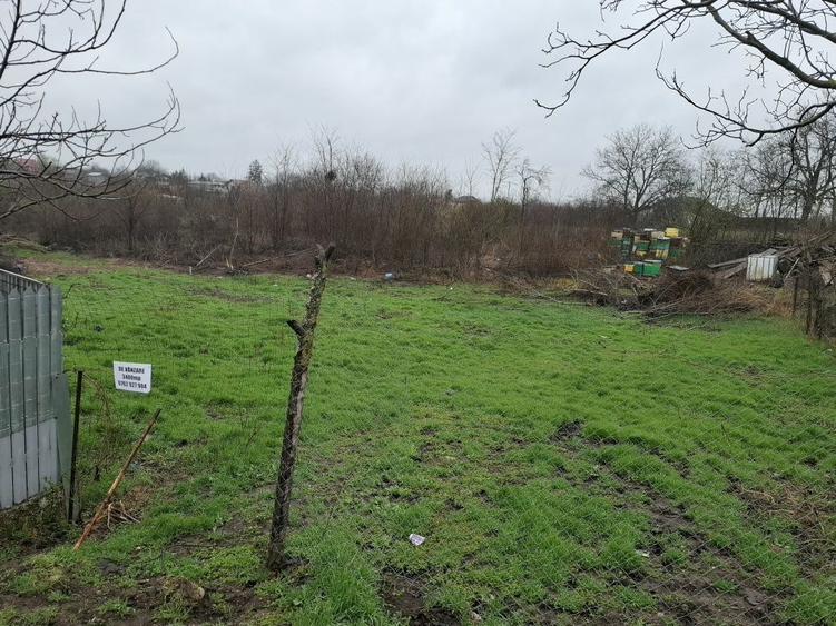 Vand teren in ilfov - 1