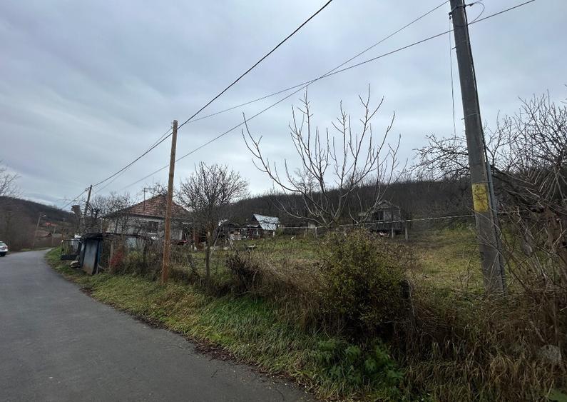 Vand teren 2400mp si casa batraneasca langa Cluj - 9