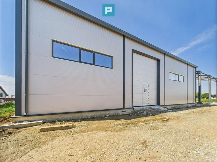 Hală industrială în zona Giarmata – Timiș - 4