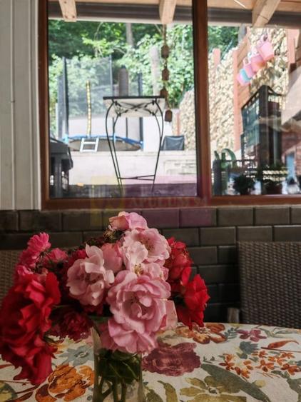 Apartament cu 4 camere de vanzare in Busteni - 31