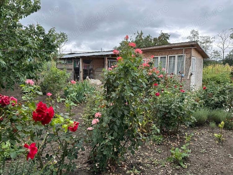 Casa cu 3 camere Zaicesti - 10