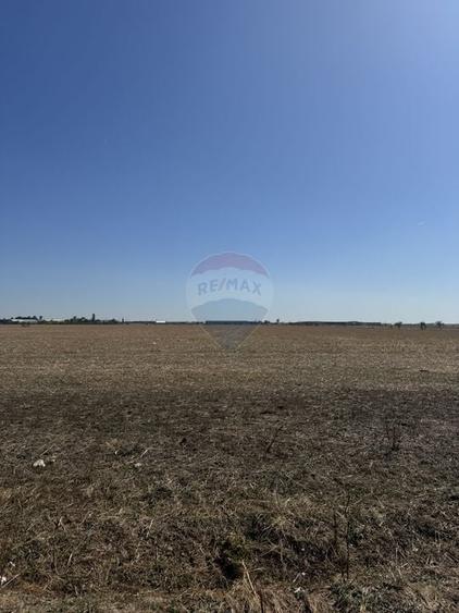 Teren 12,464mp Chitila / Strada Padurii - 3