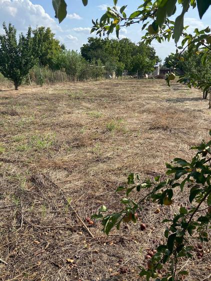 Vand Teren 1500 m2 (Sau 2 loturi a 750 m2 fiecare) (Pret negociabil) - 8