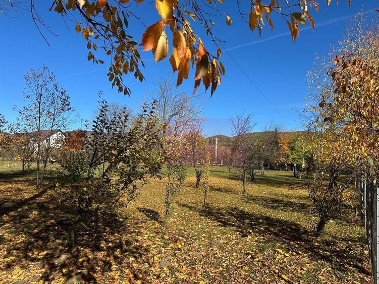 Teren intravilan de vanzare in Brebu (zona foarte linistita) - 5